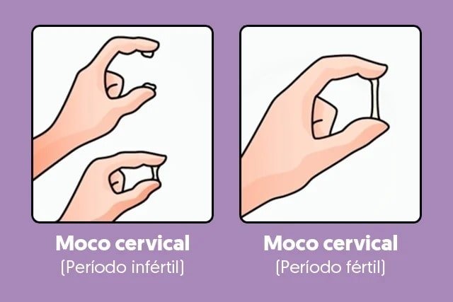 dias fertiles de una mujer